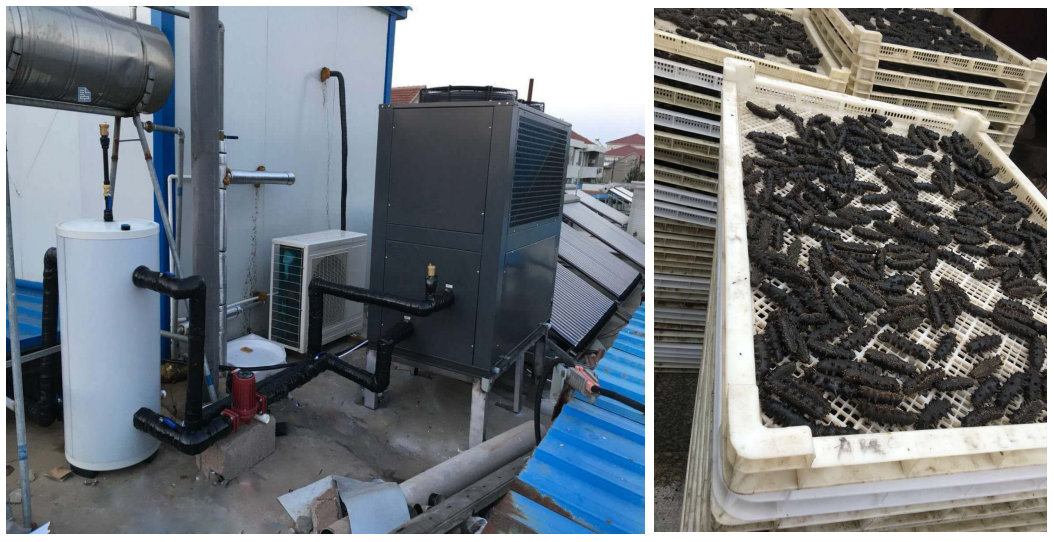 海參熱泵烘干機優缺點 海參熱泵烘干機優缺點