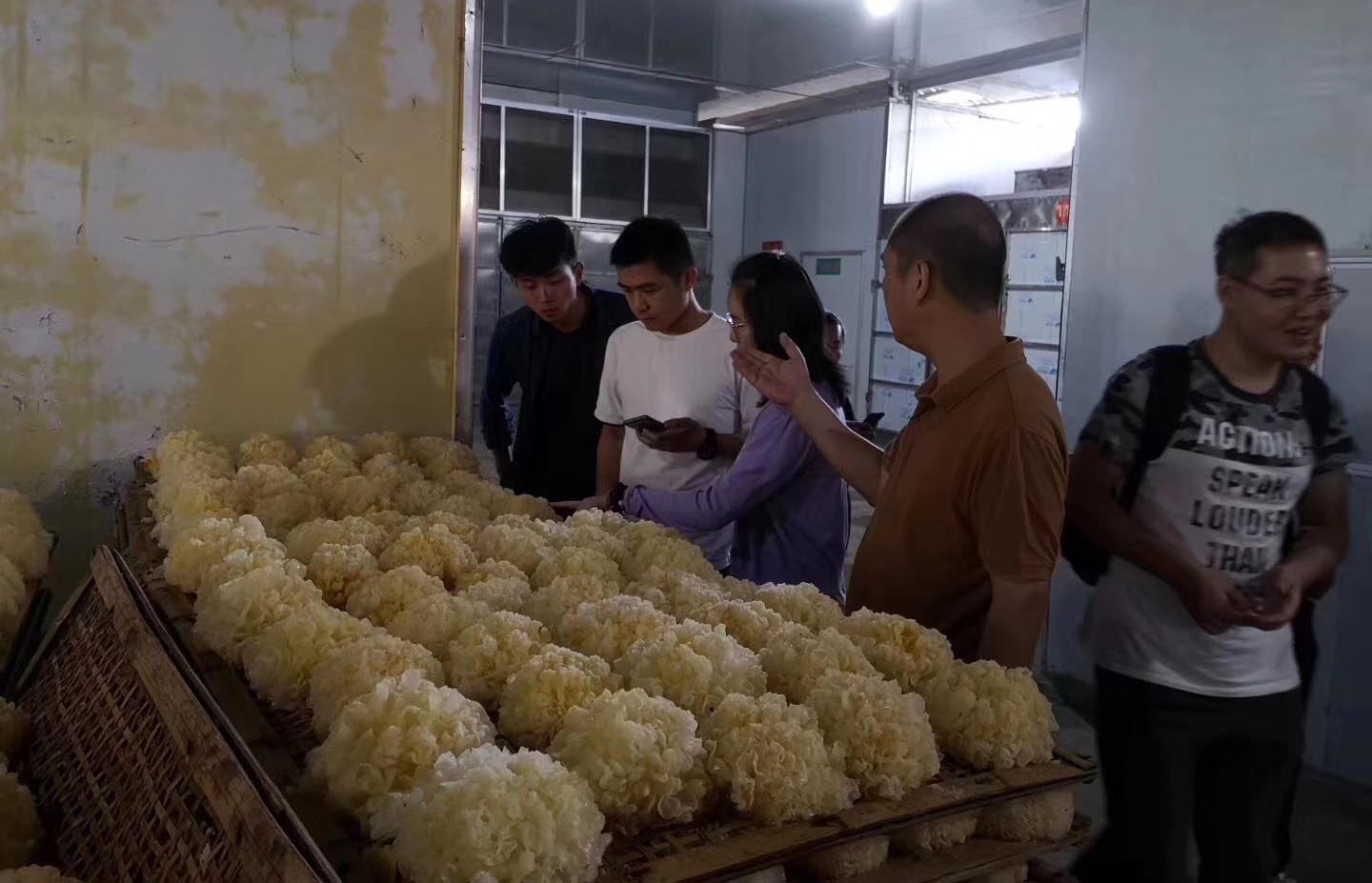 助力熱泵烘干市場 正旭新能源參與國家重點研發計劃課題 助力熱泵烘干市場 正旭新能源參與國家重點研發計劃課題