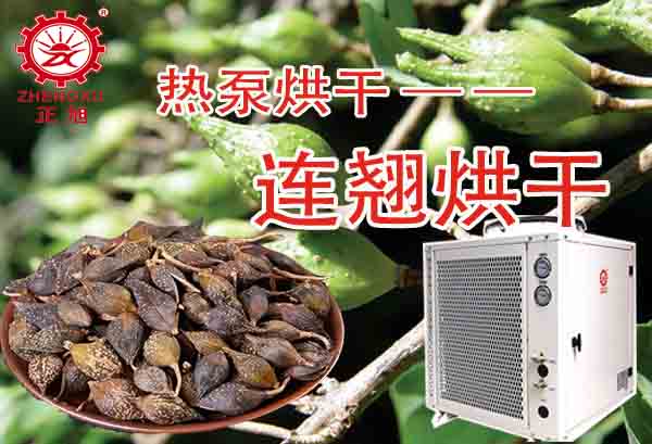 一噸連翹熱泵烘干需要多少錢?「熱泵烘干廠家」為你解答 一噸連翹熱泵烘干需要多少錢?「熱泵烘干廠家」為你解答