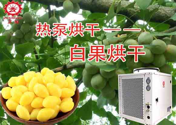 空氣能白果/銀杏果烘干工藝(烘干溫度) 空氣能白果/銀杏果烘干工藝(烘干溫度)