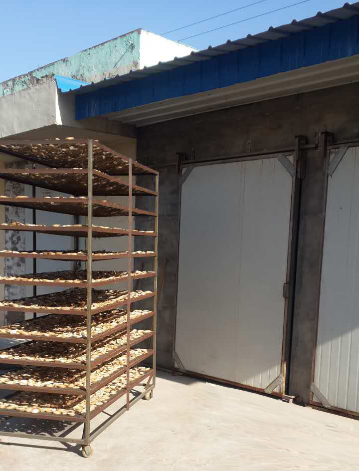 河北聯興佳圭公司項回、芽球玉蘭烘干項目