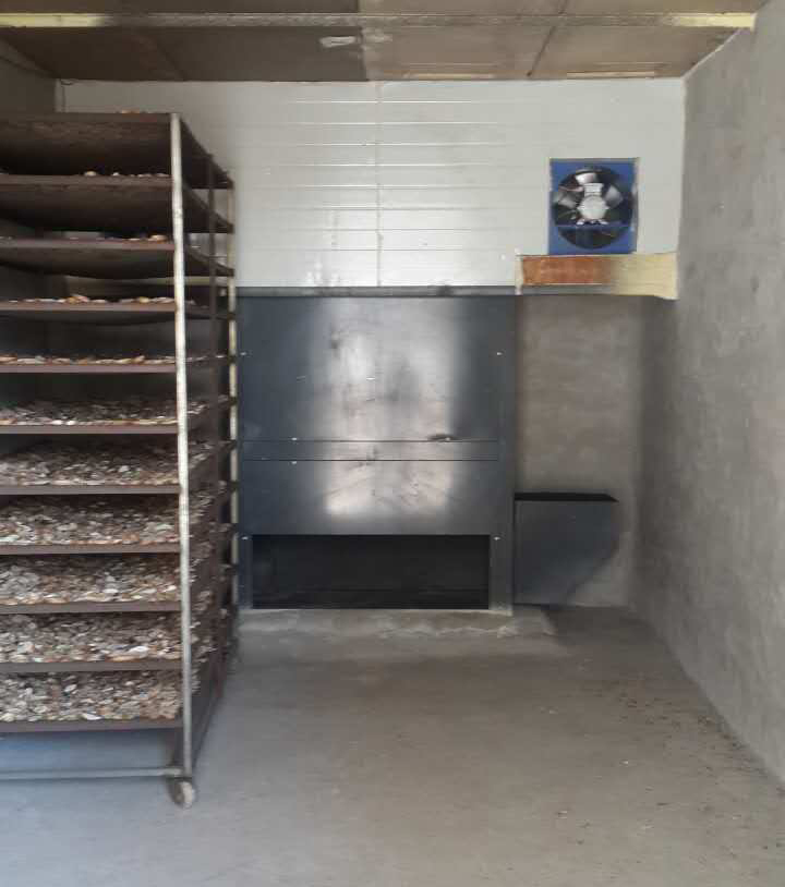 河北聯興佳圭公司項回、芽球玉蘭烘干項目