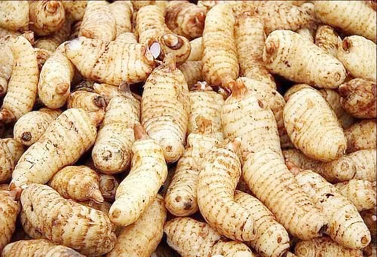 正旭空氣能熱泵烘干機天麻熱泵烘干機空氣能熱泵天麻烘干機項目案例實拍圖片 正旭空氣能熱泵烘干機天麻熱泵烘干機空氣能熱泵天麻烘干機項目案例實拍圖片